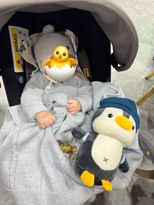 Коляска автокресло Doona Simple Parenting