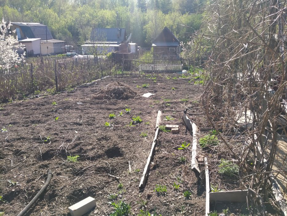 Срочно продаётся дача,район  Лесхоз