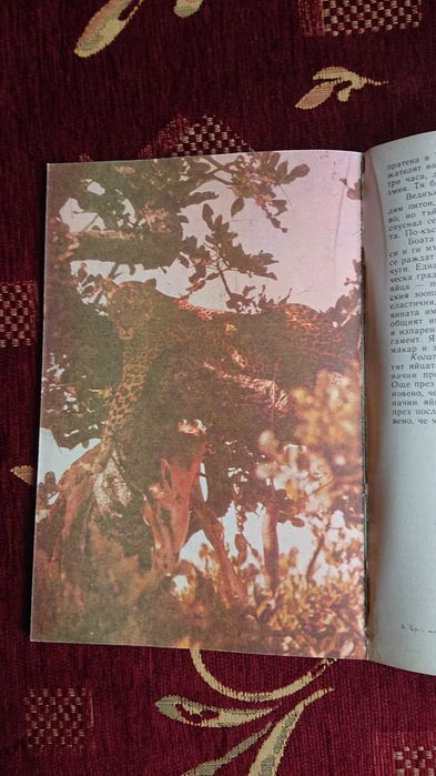 Сред животните на Африка от Бернхард Гжимек.