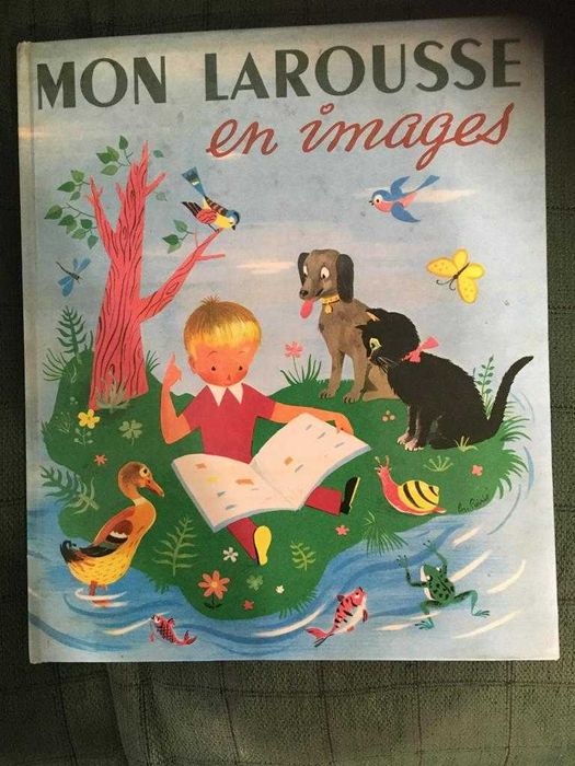 Larousse de Baza si o Veche Culegere de Algebra - Toate in Franceza