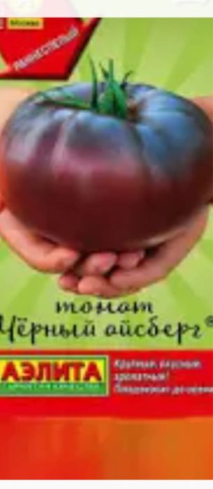 көшет / рассада помидоры и перец