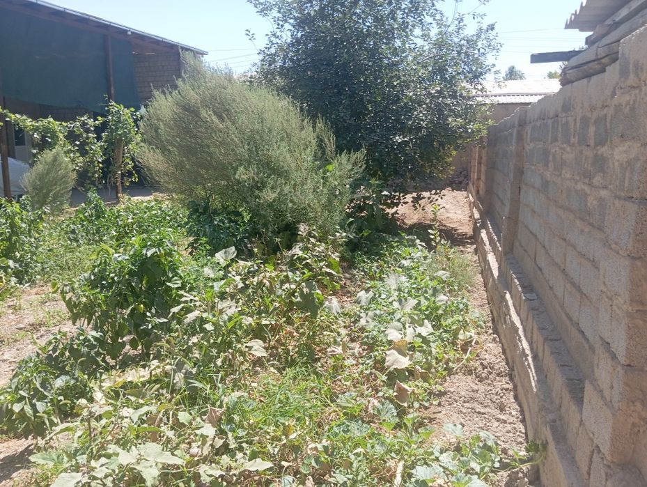 1 сотиги 12000$ 3 сотик яна келишамиз