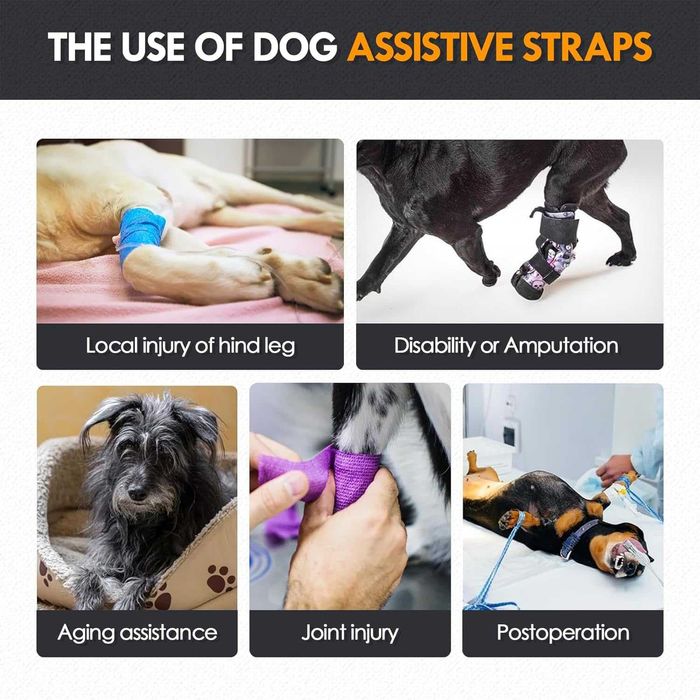 Регулируем колан за повдигане на кучета за задни крака, размери S и М