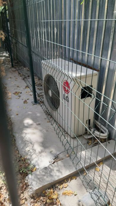 Халадини гошт учун ишлатилган узунлиги 3.5