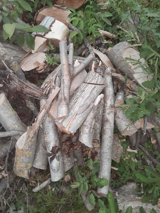 Дървен орехов материал