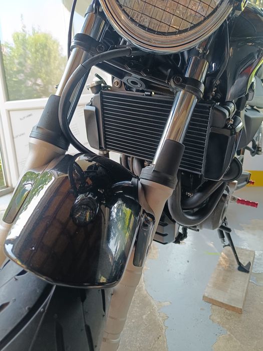 Yamaha mt03 660, Defect dezmbrez