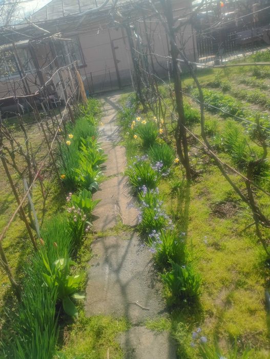 Casă+ teren intravilan, situate în str Porumbeilor Călărași.