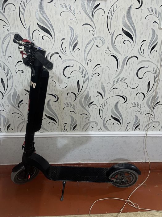 Beaster scooter