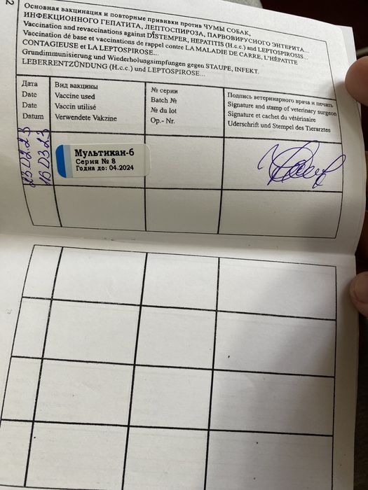 Продается Лабрадор