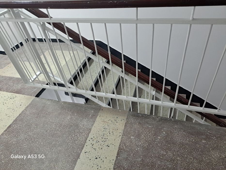 Servici profesionale de vopsire balustrade scări de bloc