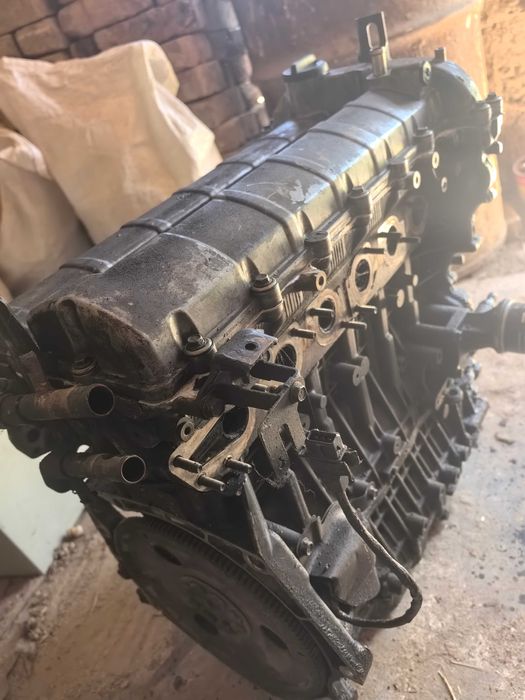 Матор дайво тоска