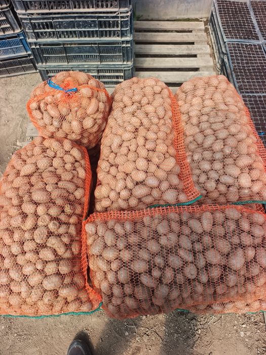 Vând cartofi pentru animale