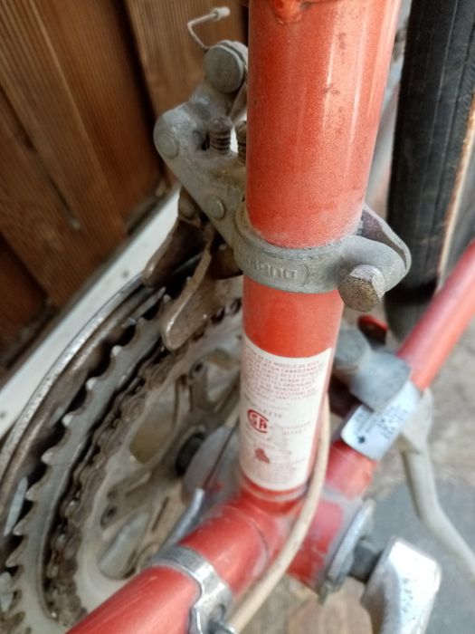 Bicicleta cursiera dama