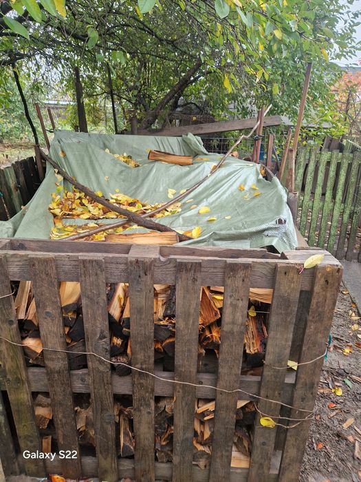 De vinzar numolpf