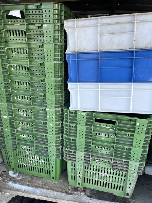 Ladite pentru legume fructe