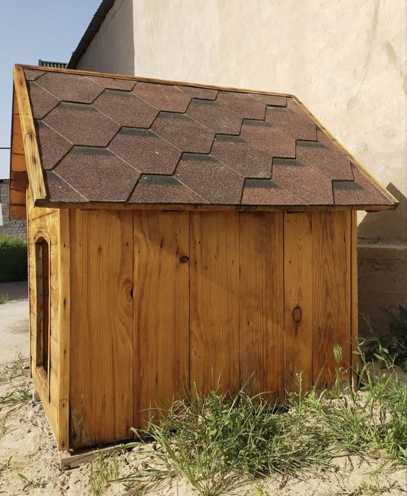 Бутка для собак.