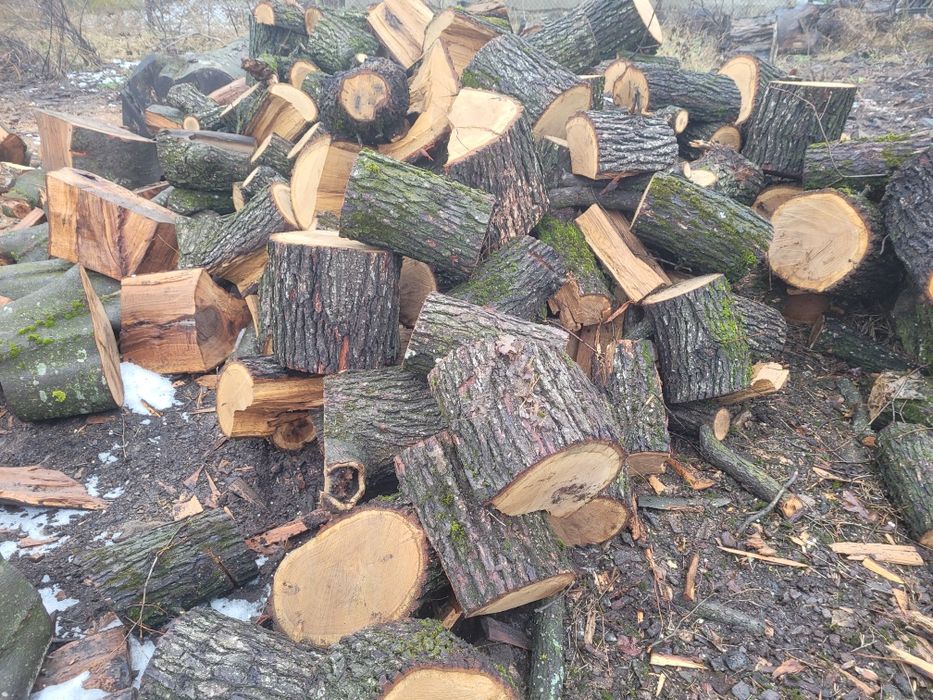 Lemne de foc ! ( Fag si stejar)