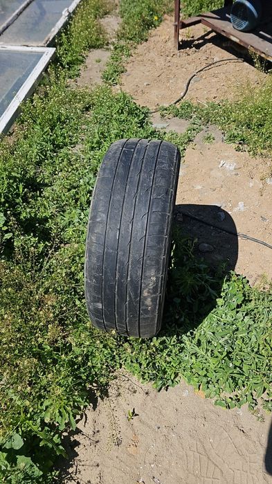 Продам зимнюю резину Трианджл
