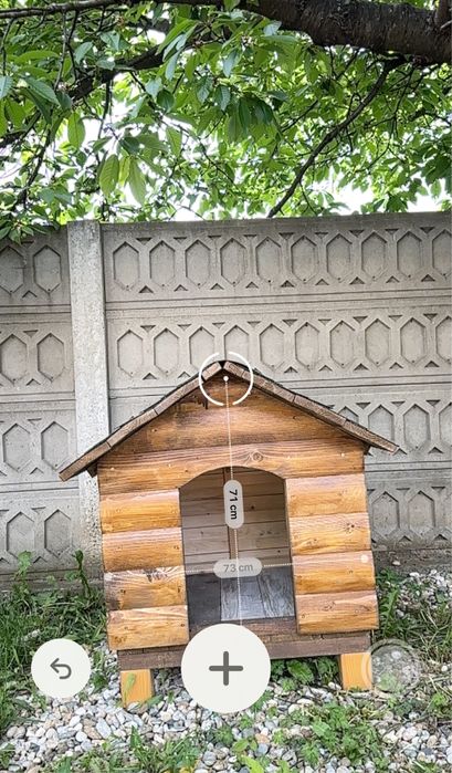 Cotet pentru caine, facut la comanda