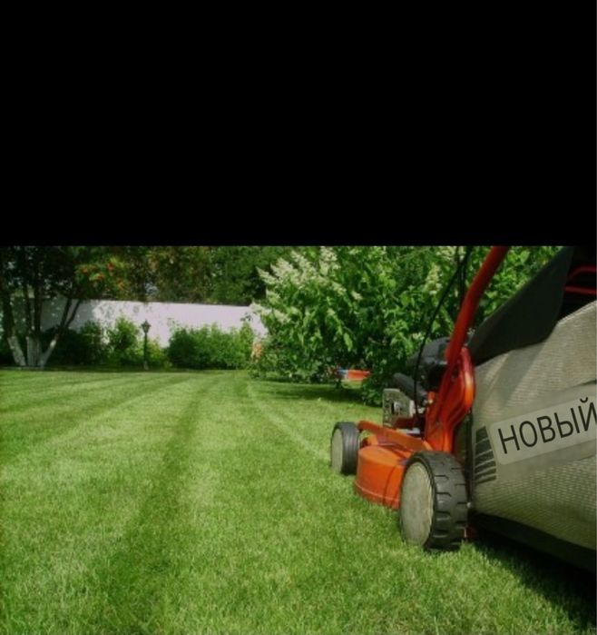 Услуги садовника!