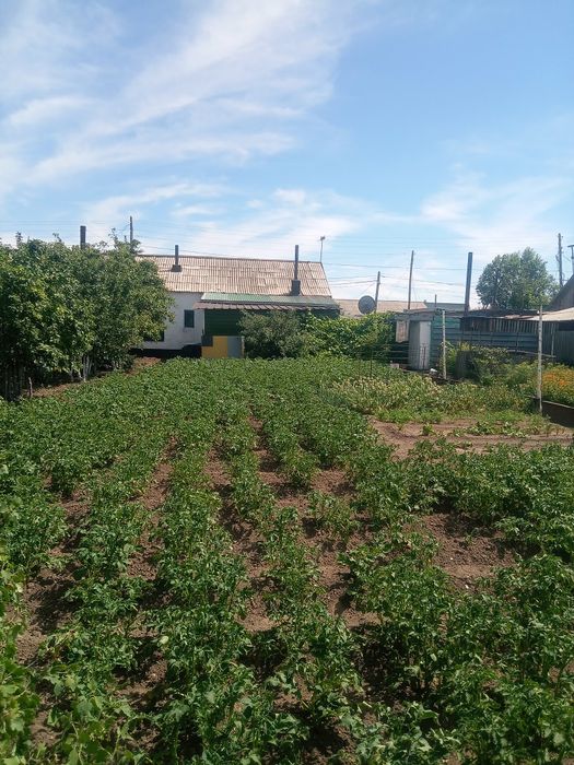 Продам честный дом. Северный.