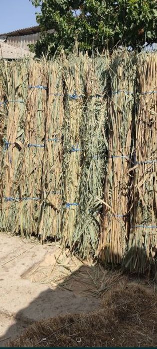 Камичлар бор хар хил