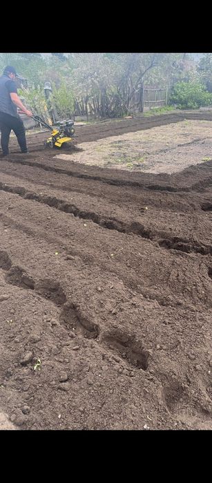 Вспашка огорода , мотоблок 2500