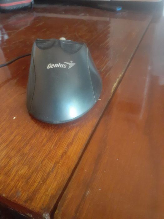 Мышка Genius рабочая