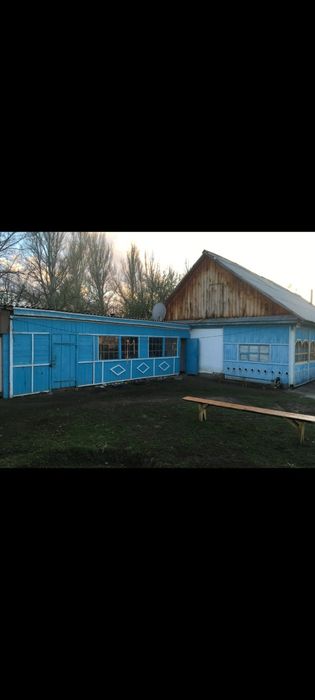 Продаётся дом, яблоневый сад, фазенда!!
