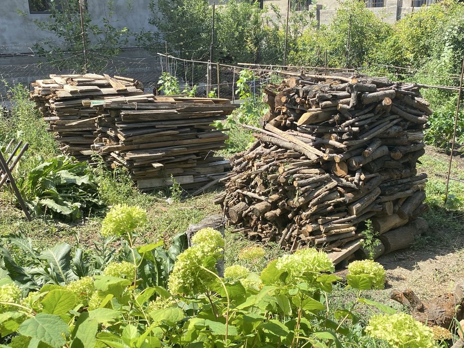 Продам дрова сухие недорого