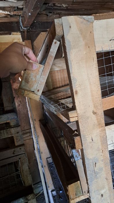 Клетки для перепелов