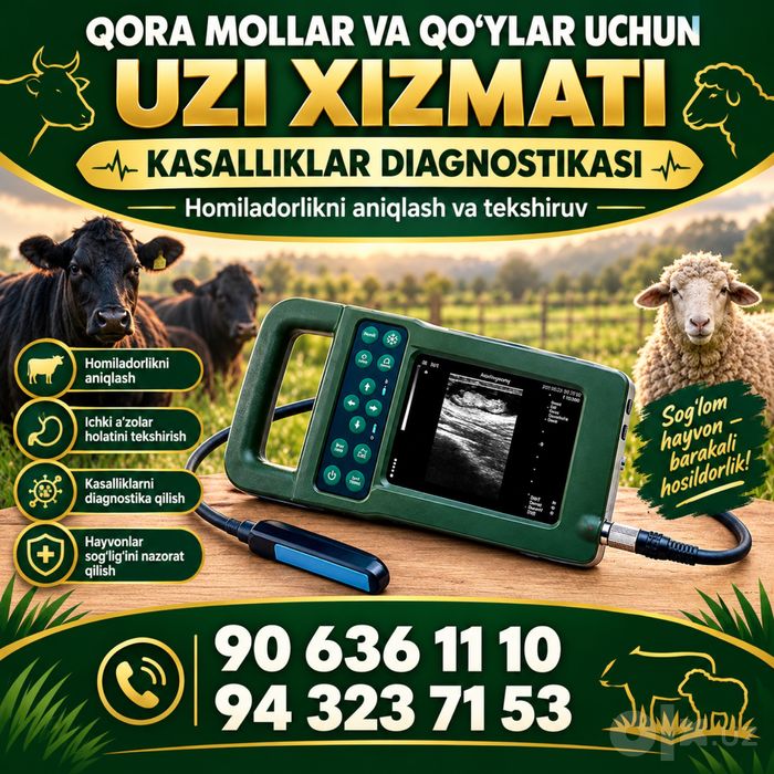 Jondor Tumani bo’ylab UZI xizmati.