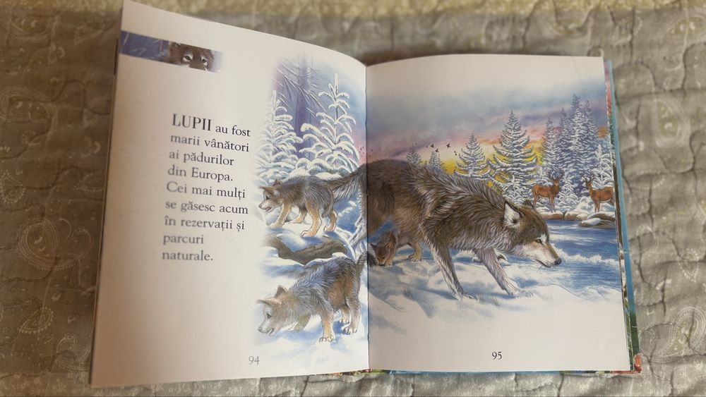 Carte Curiozitati despre animale.  Ed.Girasol