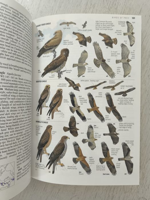 Collins Bird Guide в суперобложке