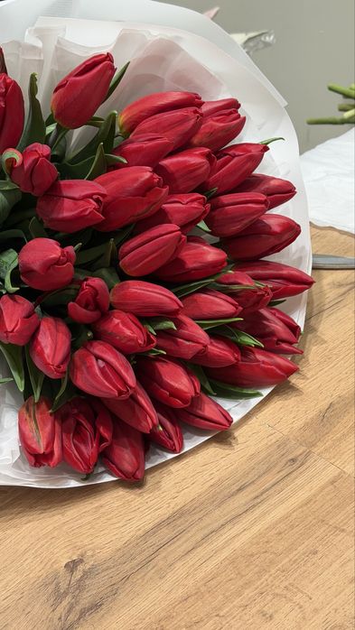 51 голландских тюльпанов