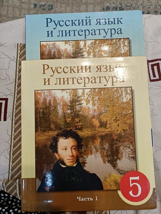 5 сынып русский и литература