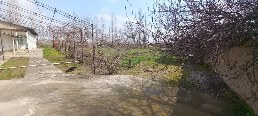 Срочно ер нархида Янги йулда ховли жой сотилади