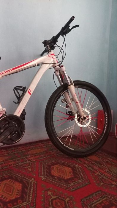 Velik 26 razmer srochna