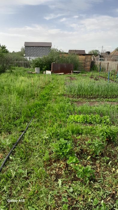 Продам дачу новопаловка общество борки