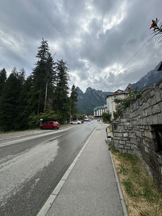 Spatiu comercial Busteni