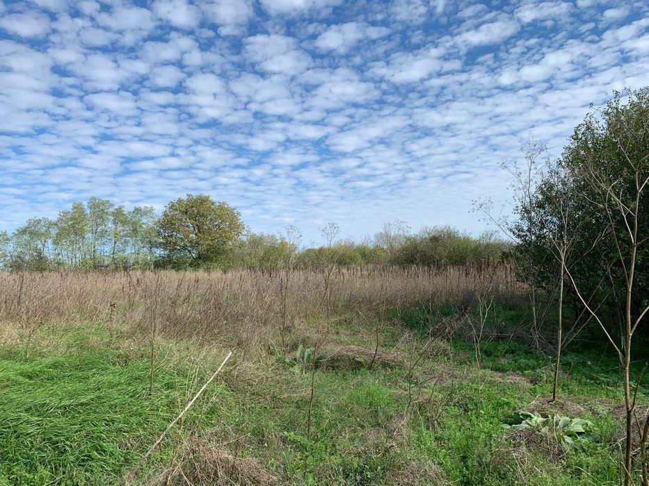 Продава се Парцел в Варна, Северна промишлена зона - 1870 кв.м за 16 €/кв.м - Снимка #3