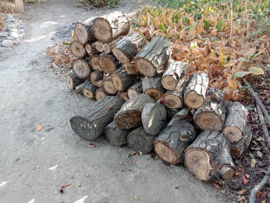 Дрова садовых деревьев