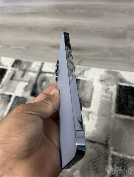 Iphone 13 pro max idial