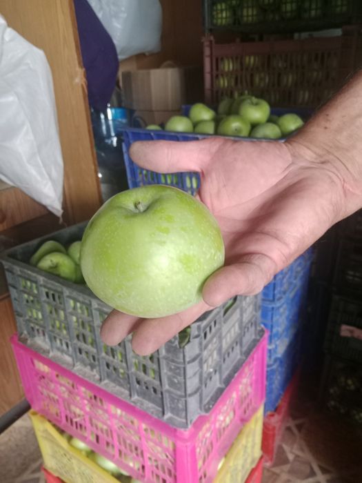 Продам  или сдам оптом