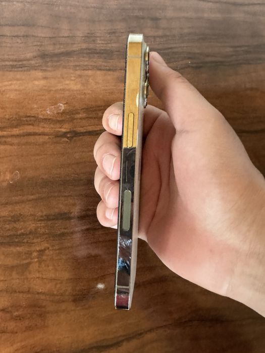 Iphone 13 pro ideal