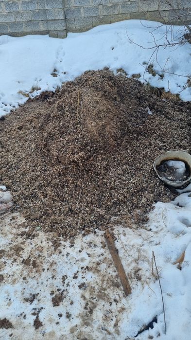 Бедана гунги текинга