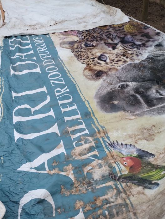 Prelate 3.1 x 11.6 m