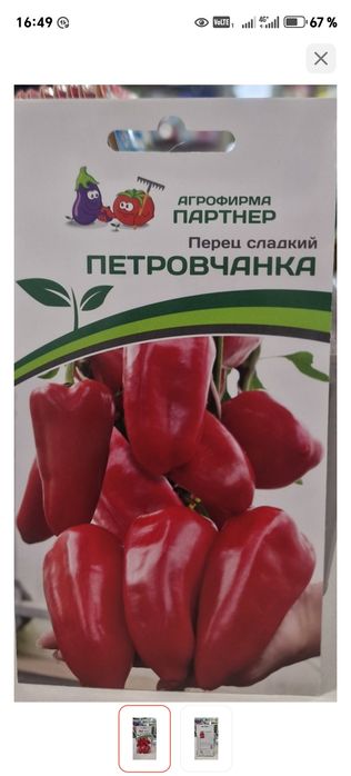 Продам семена перца