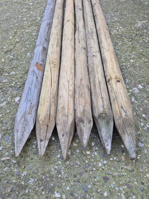 70 Stalpi lemn tratati, diametru 6-7 cm, lungime 2m, 17 lei/buc.