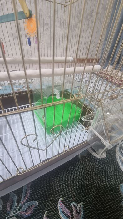 Клетка для попугаев